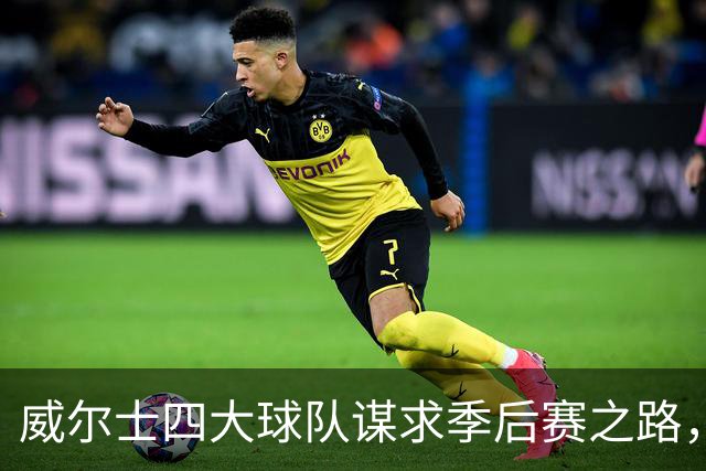 威尔士四大球队谋求季后赛之路，卡迪夫上赛季表现最佳